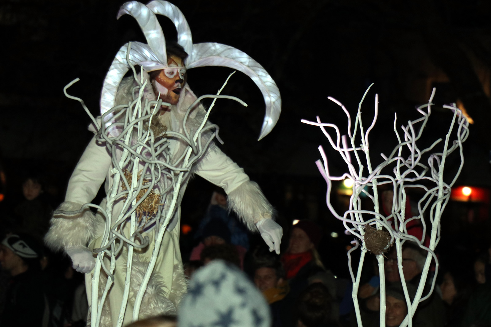 Dunedin Midwinter Carnival 2018